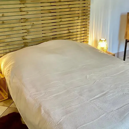 Maison Eclusiere Piscine Jacuzzi Fauteuil Massant Villa Carhaix-Plouguer